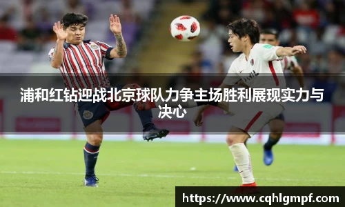 Bsports官网