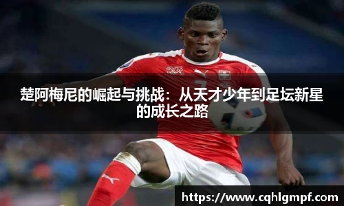 Bsports官网