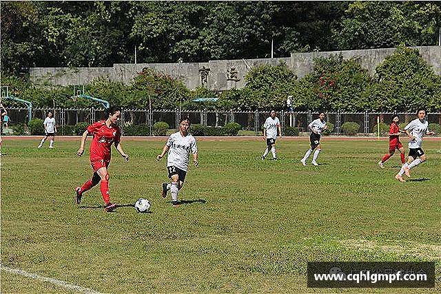 解读Bsports官网